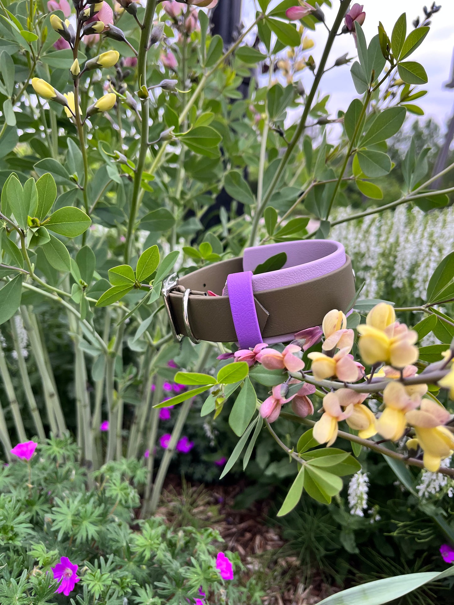 ARDA | 10 à 14" | olive et lavande - ✹Oromë✹ accessoires sur-mesure pour chiens