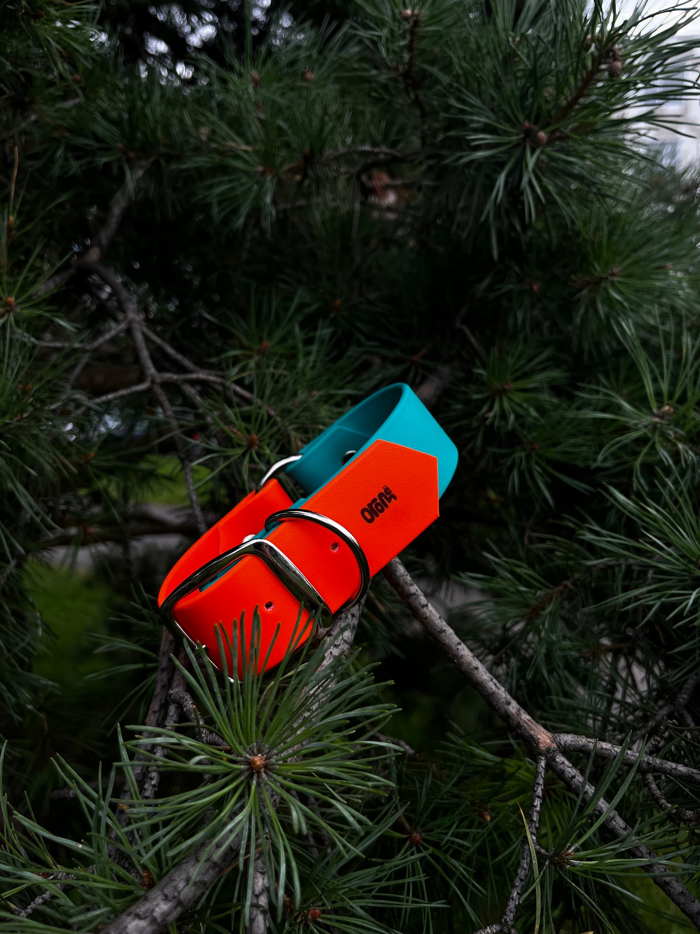 ARATAR 1 ½ pouce - ✹Oromë✹ accessoires sur-mesure pour chiens