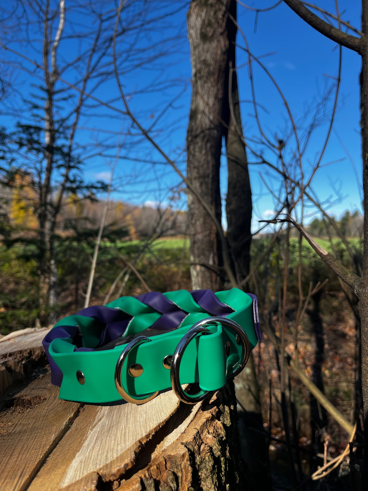 ELDAR | 21" | vert émeraude et violet - ✹Oromë✹ accessoires sur-mesure pour chiens