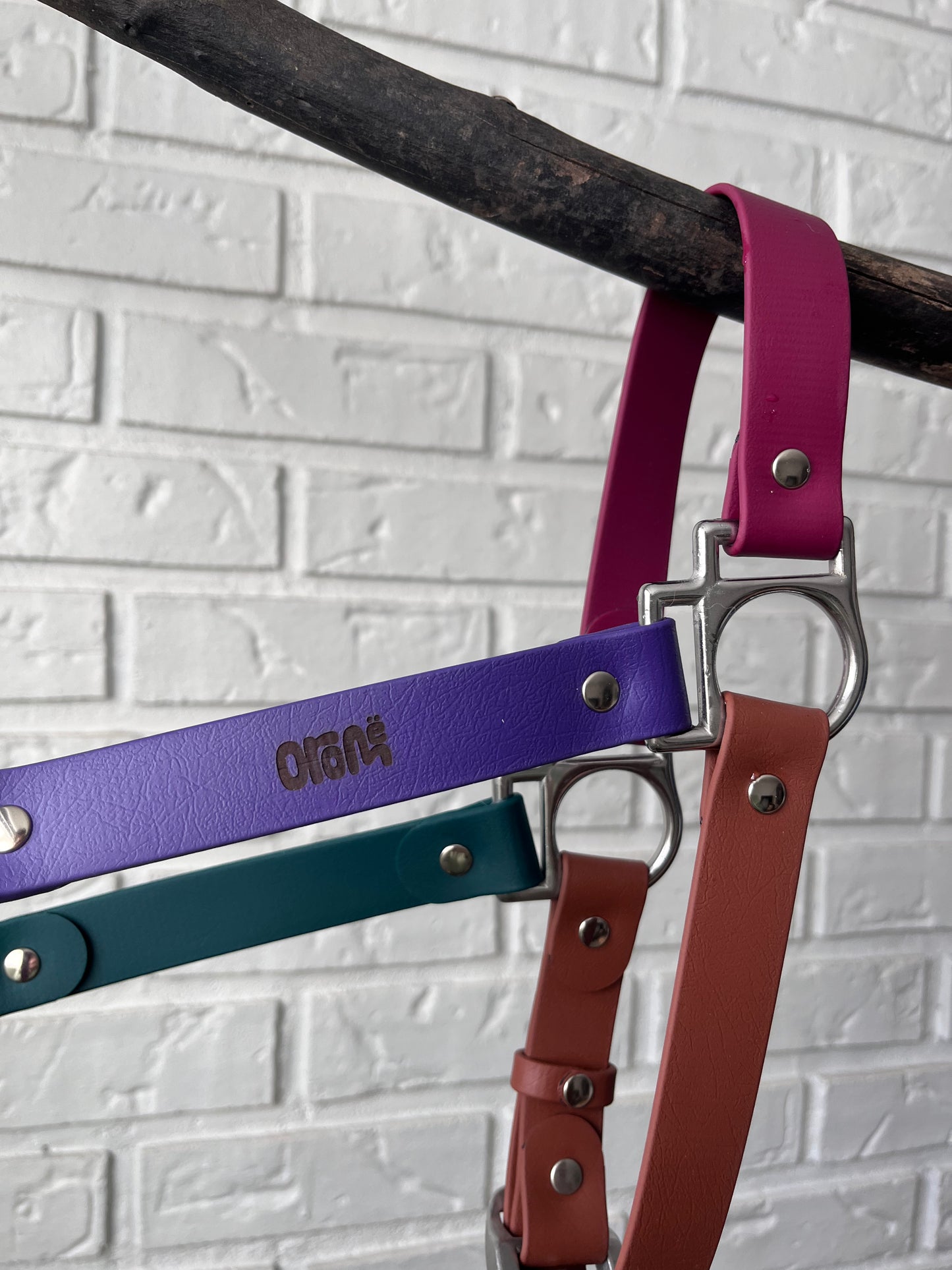 Licol cob | midnight - ✹Oromë✹ accessoires sur-mesure pour chiens