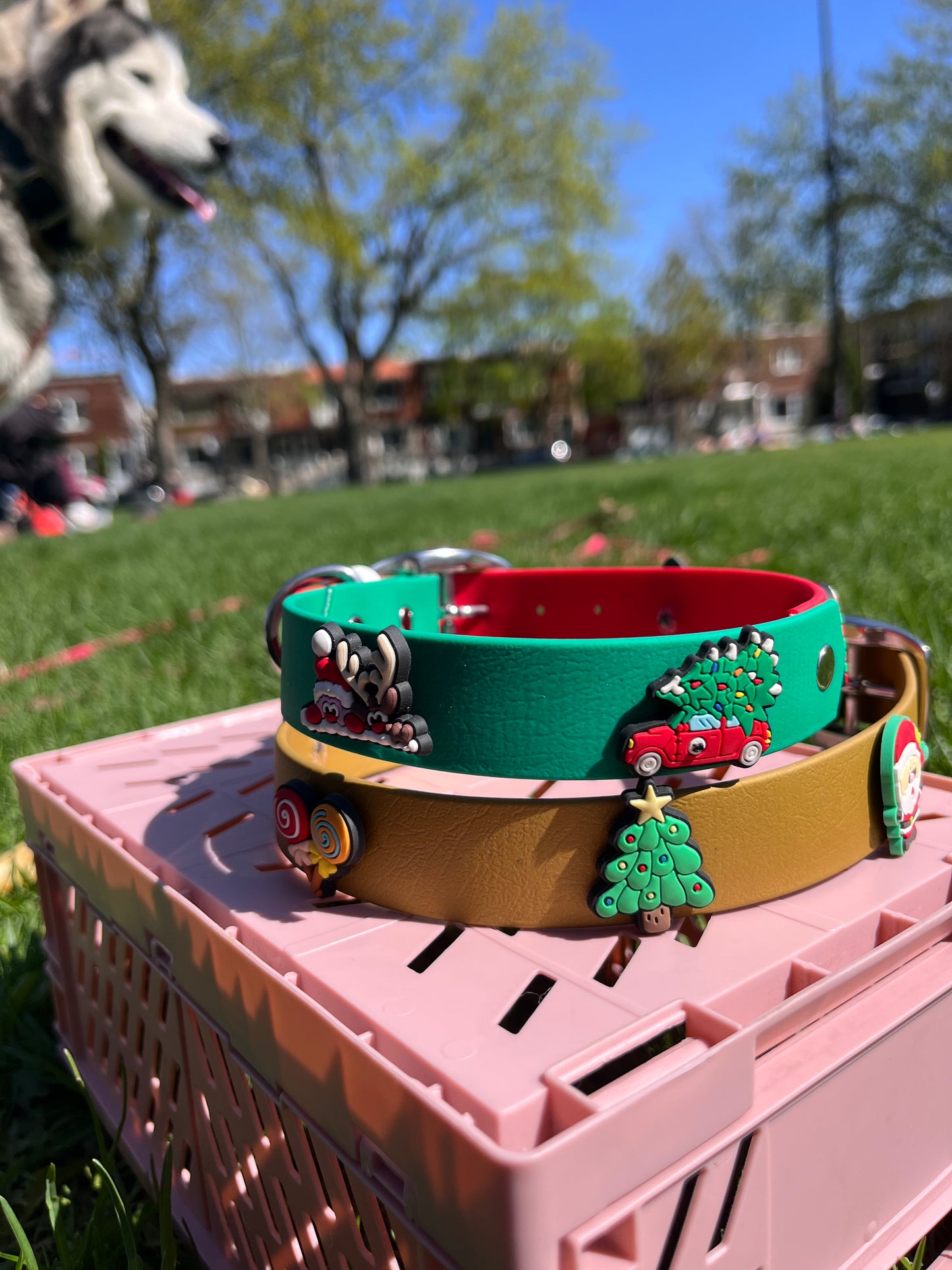 VALAR | 14 à 17" | rouge et vert - ✹Oromë✹ accessoires sur-mesure pour chiens