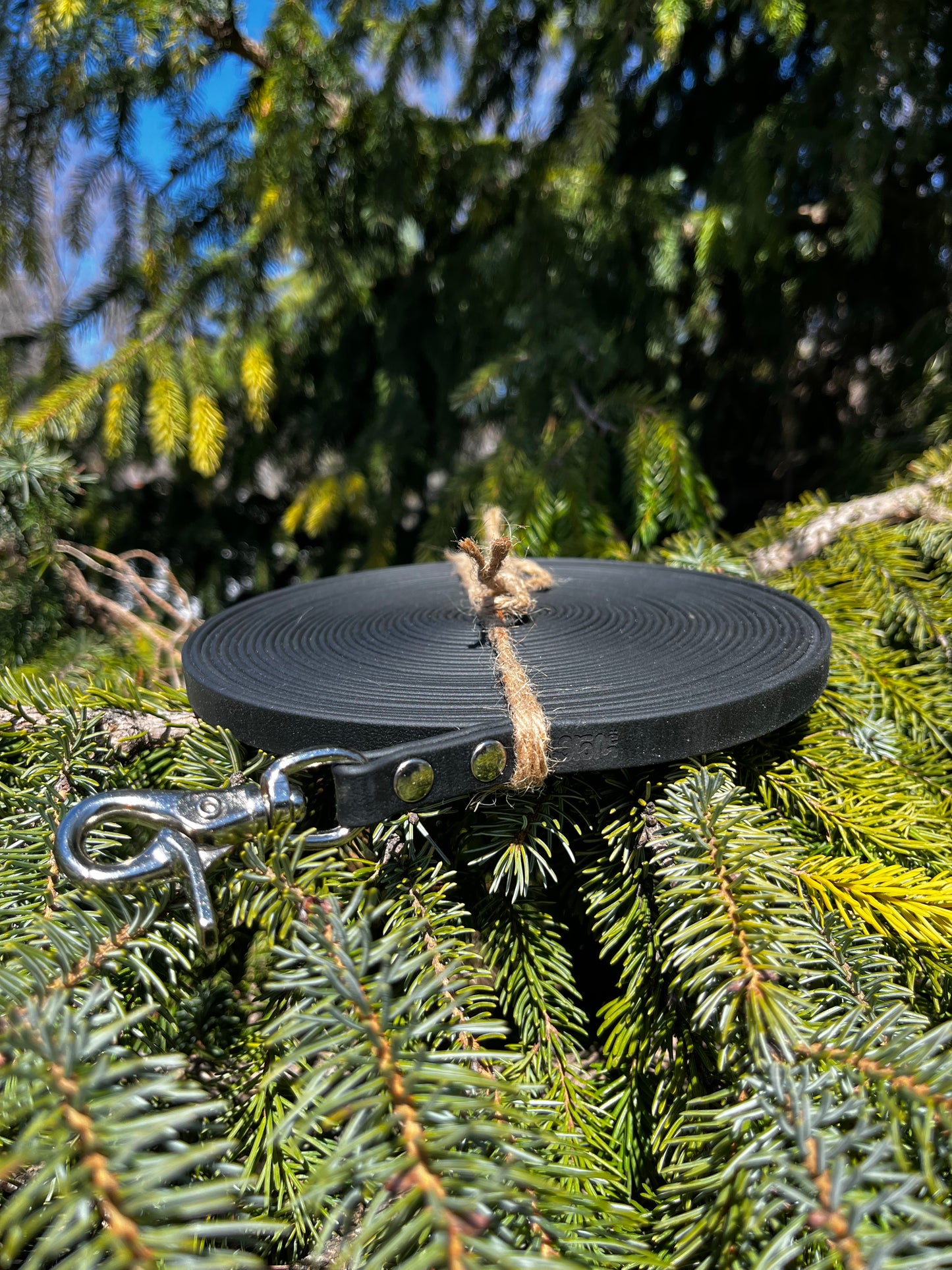 Longe 1/2 pouce | 36 pieds | noir - ✹Oromë✹ accessoires sur-mesure pour chiens