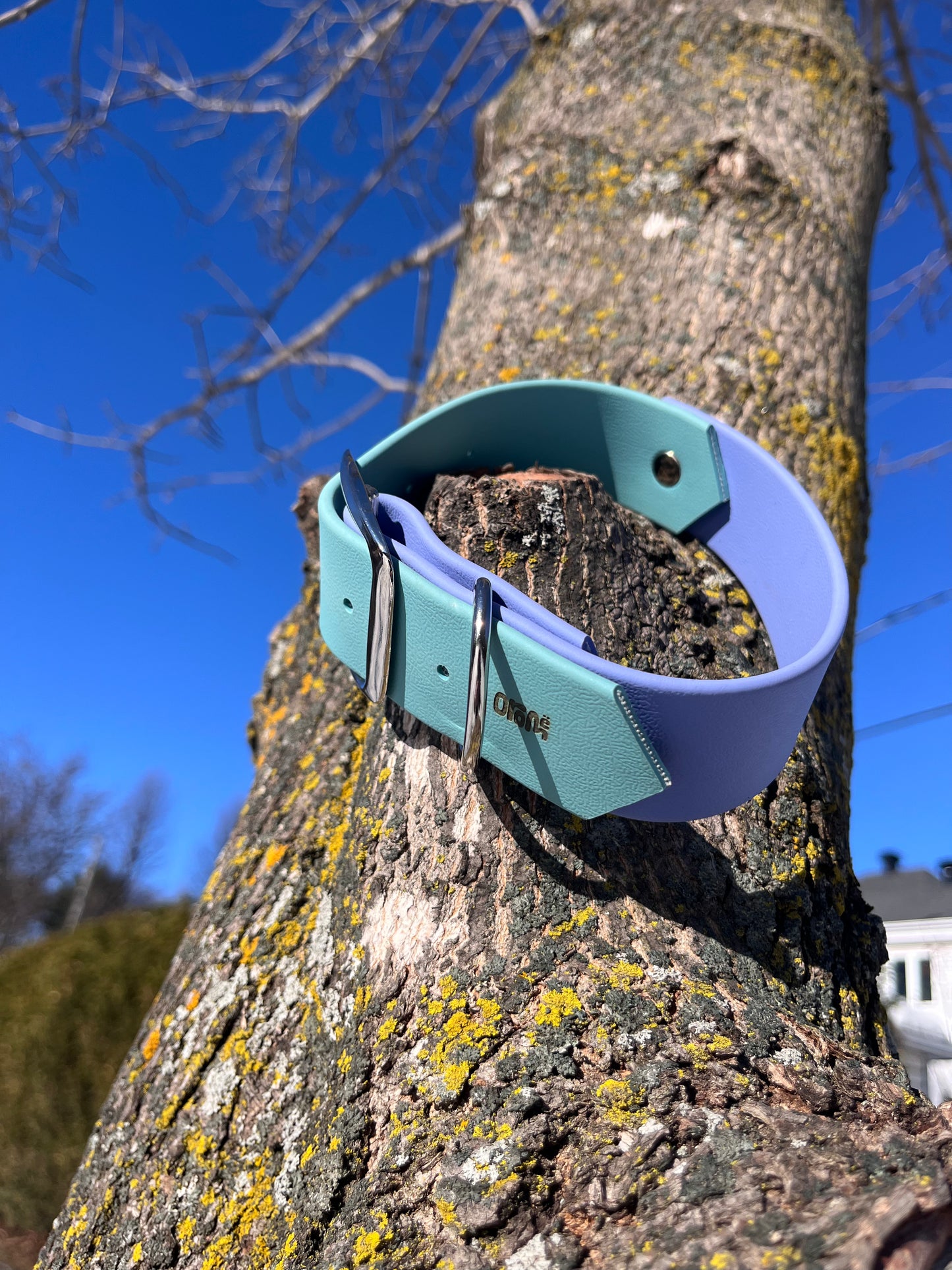 VALAR | 16 to 21" | purple and magenta