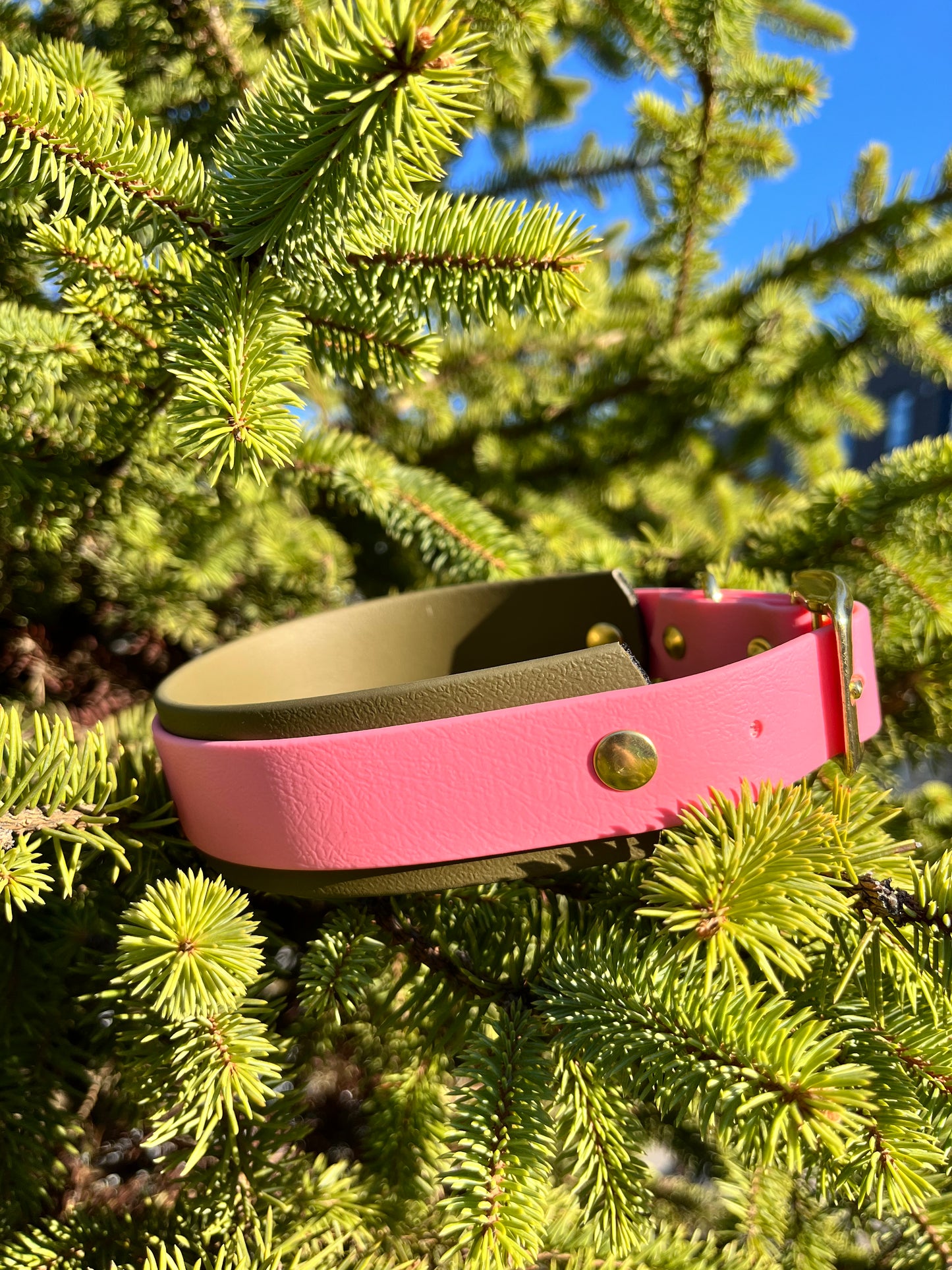 !NOUVEAU! Collier CARTE BLANCHE - ✹Oromë✹ accessoires sur-mesure pour chiens