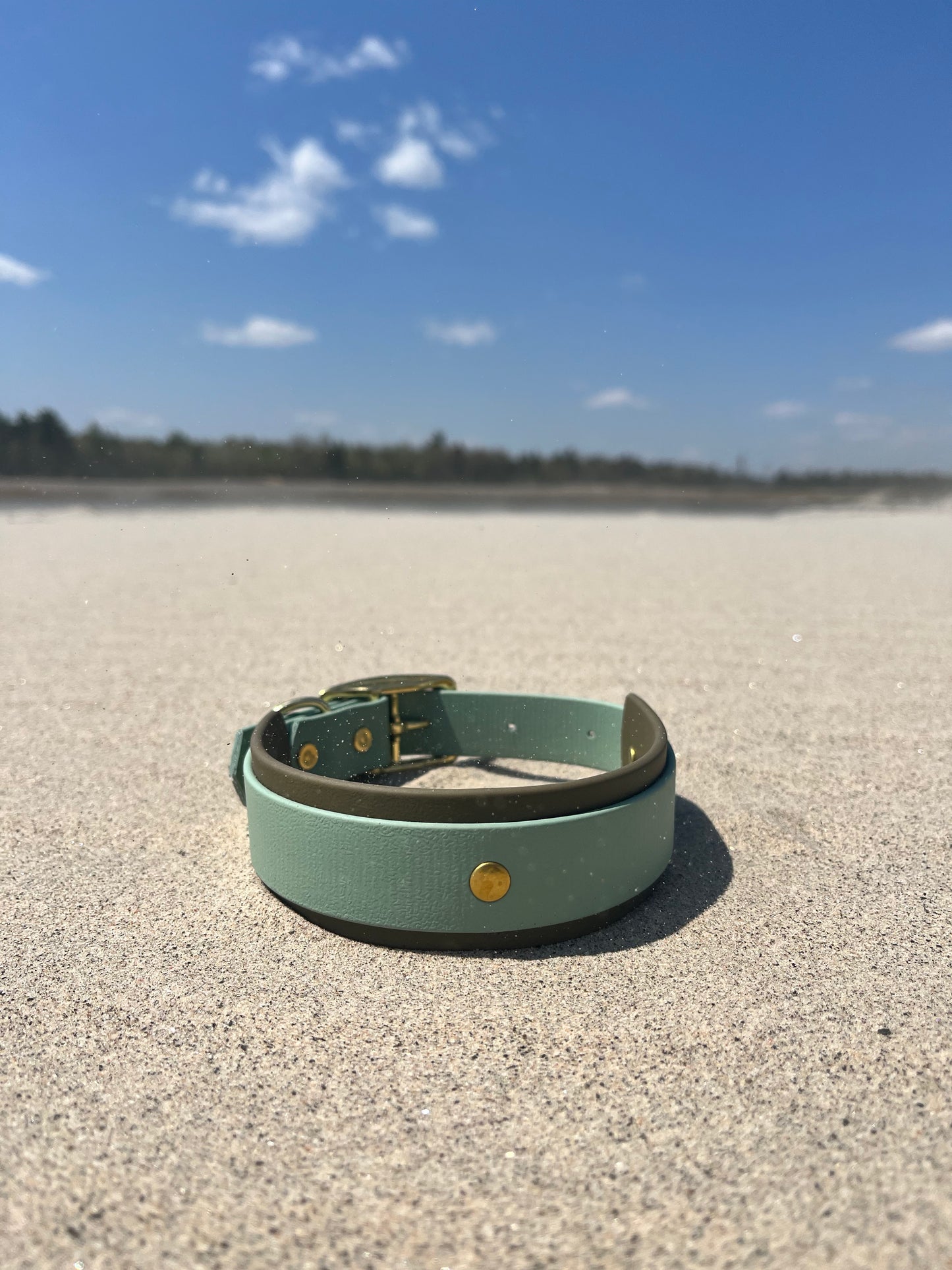 ARDA - ✹Oromë✹ accessoires sur-mesure pour chiens