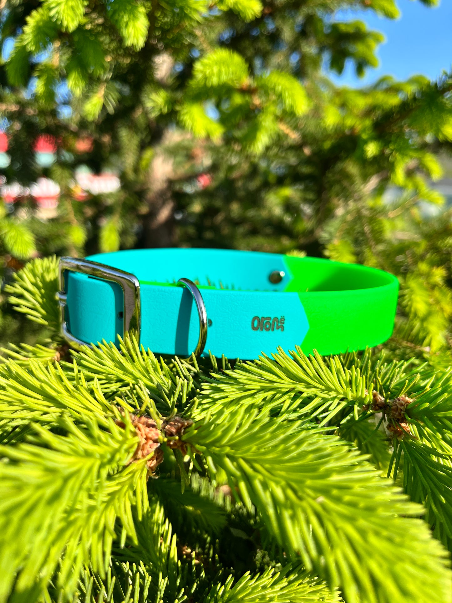 VALAR | 13 à 18" | vert néon et lagoon - ✹Oromë✹ accessoires sur-mesure pour chiens