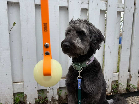 Jouet avec balle - ✹Oromë✹ accessoires sur-mesure pour chiens