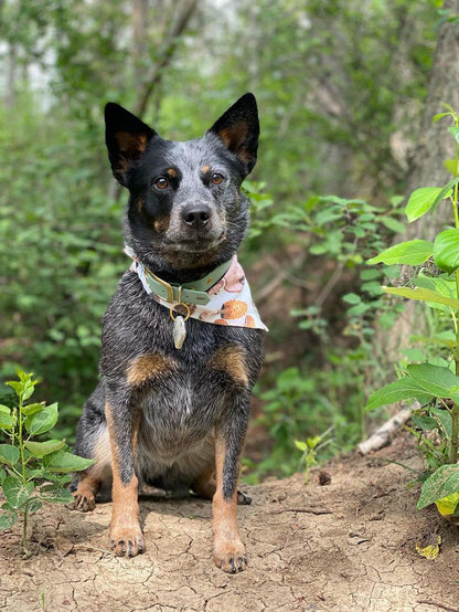 ARDA - ✹Oromë✹ accessoires sur-mesure pour chiens