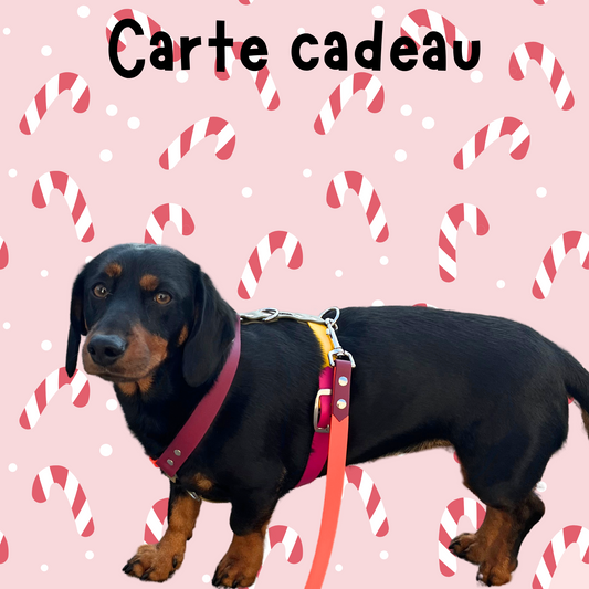 Carte cadeau 🎁 - ✹Oromë✹ accessoires sur-mesure pour chiens