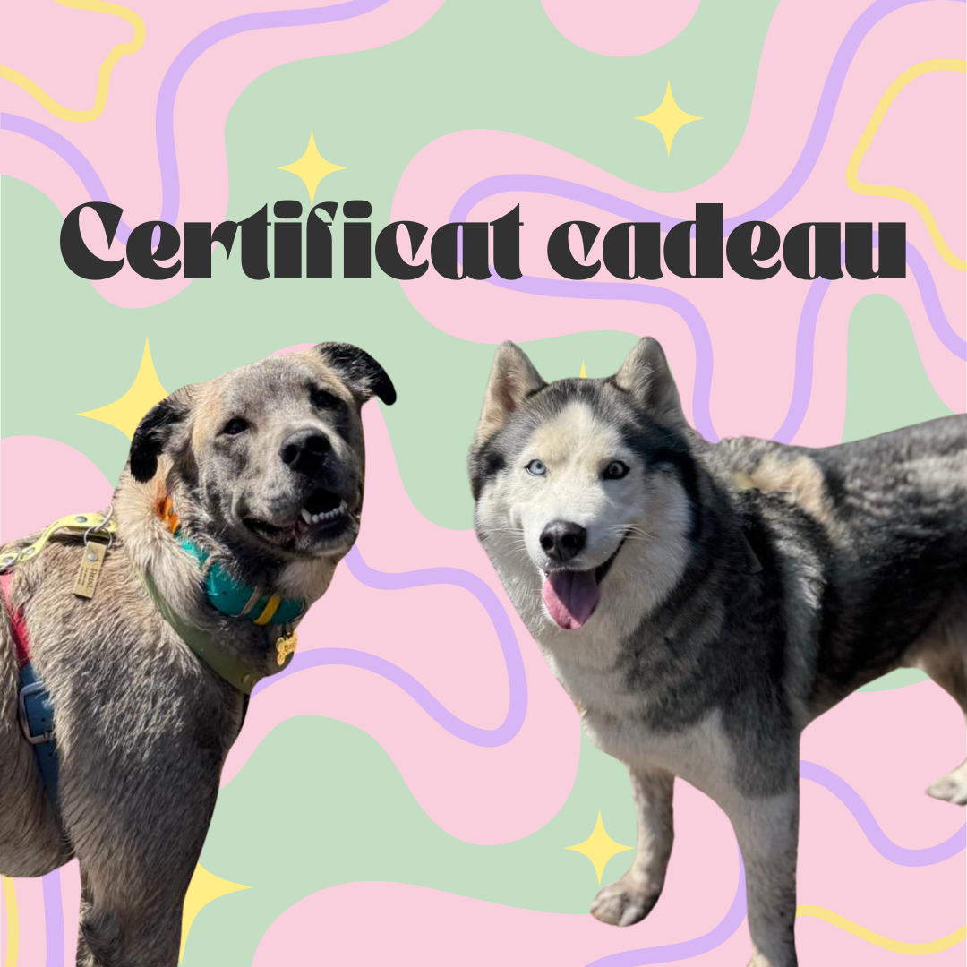 Certificat cadeau - ✹Oromë✹ accessoires sur-mesure pour chiens