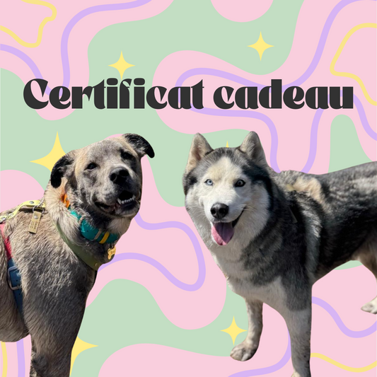 Certificat cadeau - ✹Oromë✹ accessoires sur-mesure pour chiens
