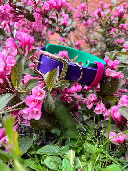 ARDA - ✹Oromë✹ accessoires sur-mesure pour chiens