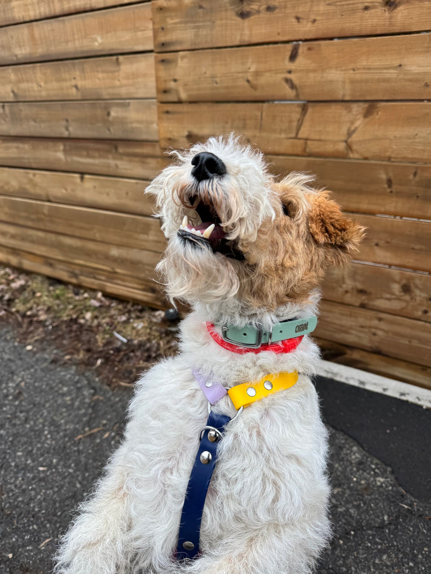 Made-to-measure harness