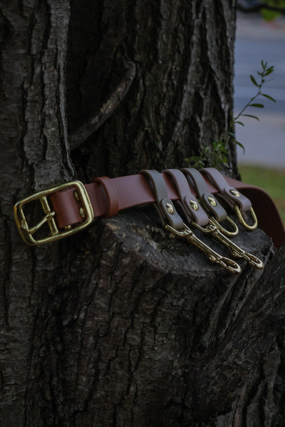 Dog Walking Belt