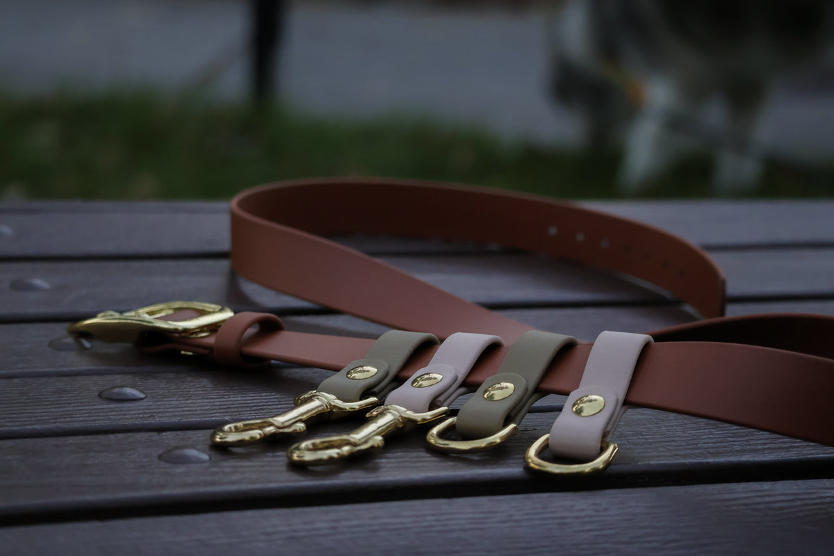 Dog Walking Belt