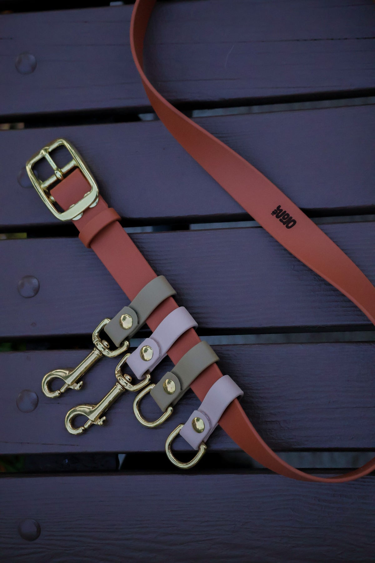 Dog Walking Belt