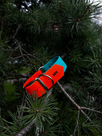 ARATAR 1 ½ pouce - ✹Oromë✹ accessoires sur-mesure pour chiens