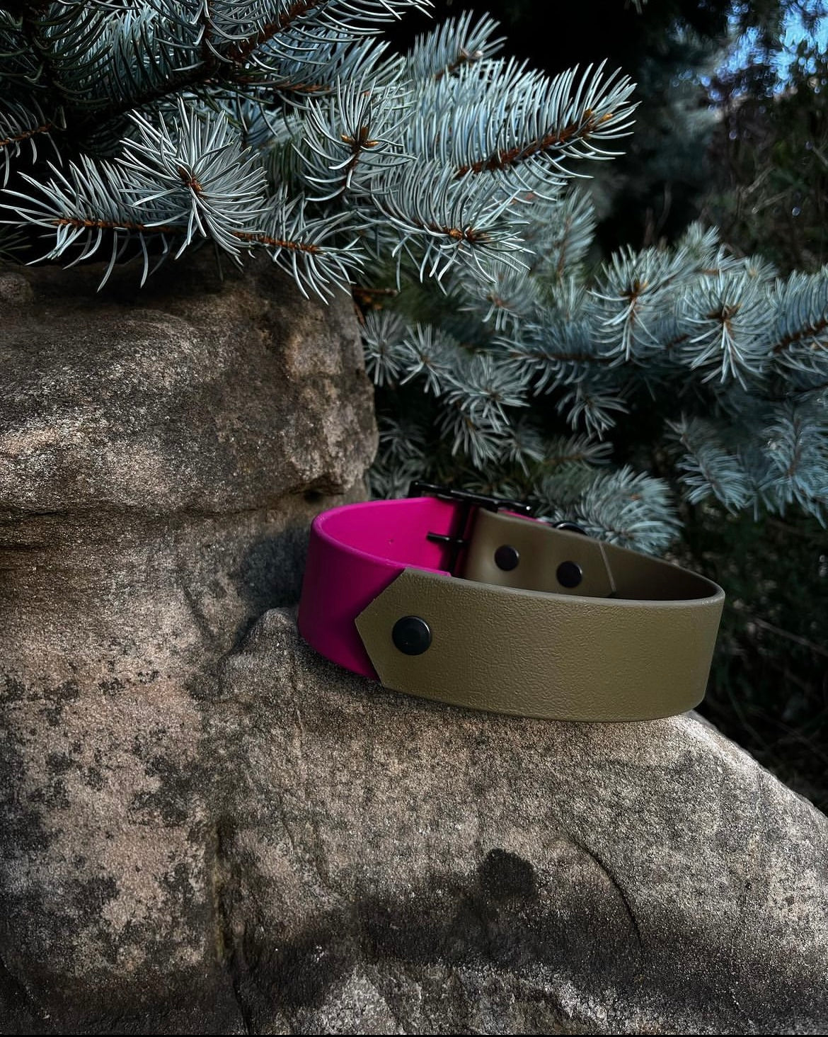 VALAR | 16 à 21" | magenta et olive - ✹Oromë✹ accessoires sur-mesure pour chiens