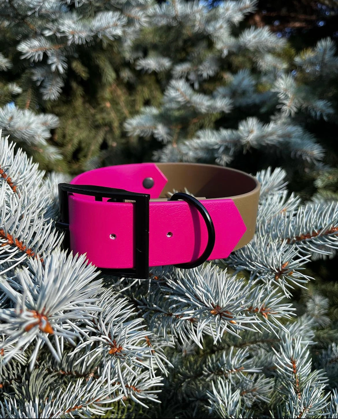 VALAR | 16 à 21" | magenta et olive - ✹Oromë✹ accessoires sur-mesure pour chiens