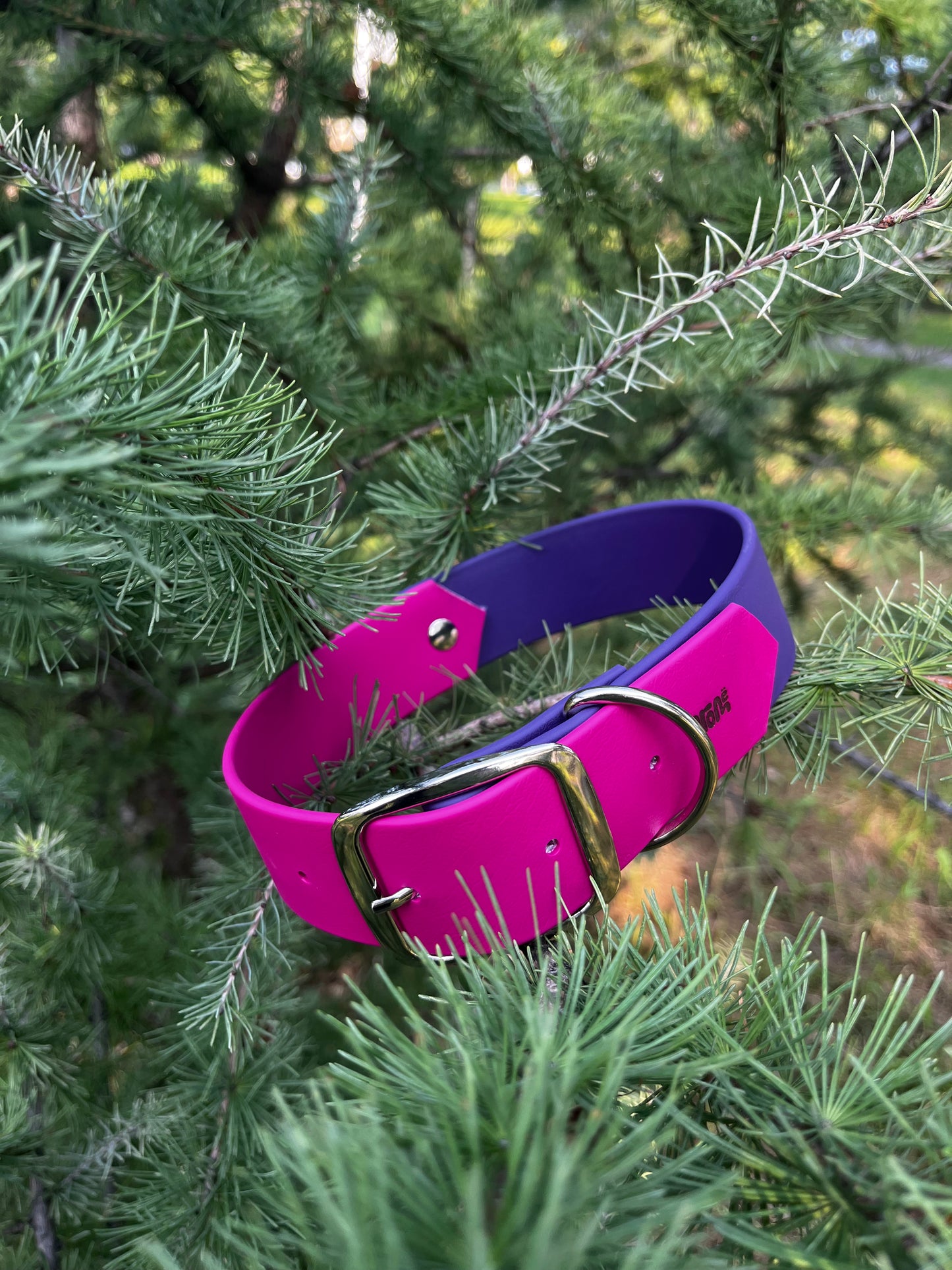 VALAR | 16 à 21" | violet et magenta - ✹Oromë✹ accessoires sur-mesure pour chiens