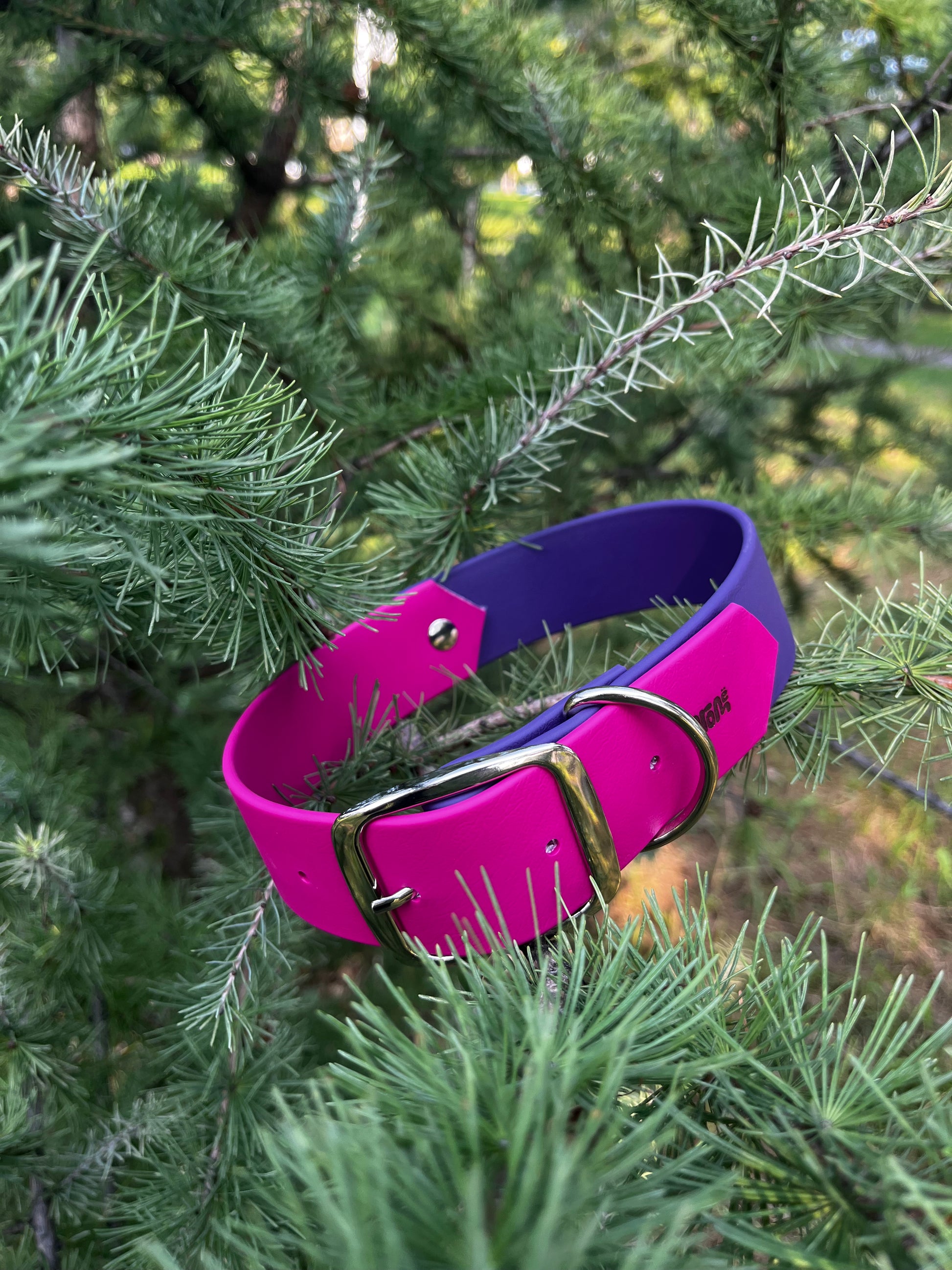 VALAR | 16 à 21" | violet et magenta - ✹Oromë✹ accessoires sur-mesure pour chiens