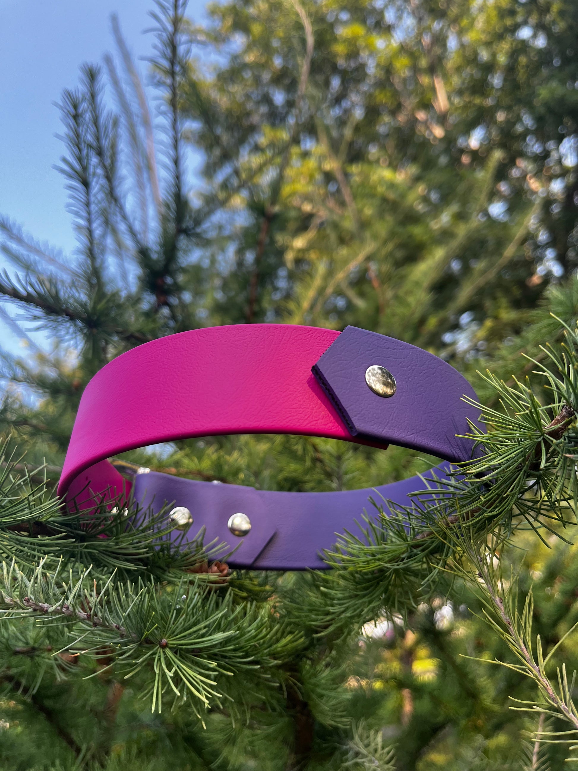 VALAR | 16 à 21" | violet et magenta - ✹Oromë✹ accessoires sur-mesure pour chiens