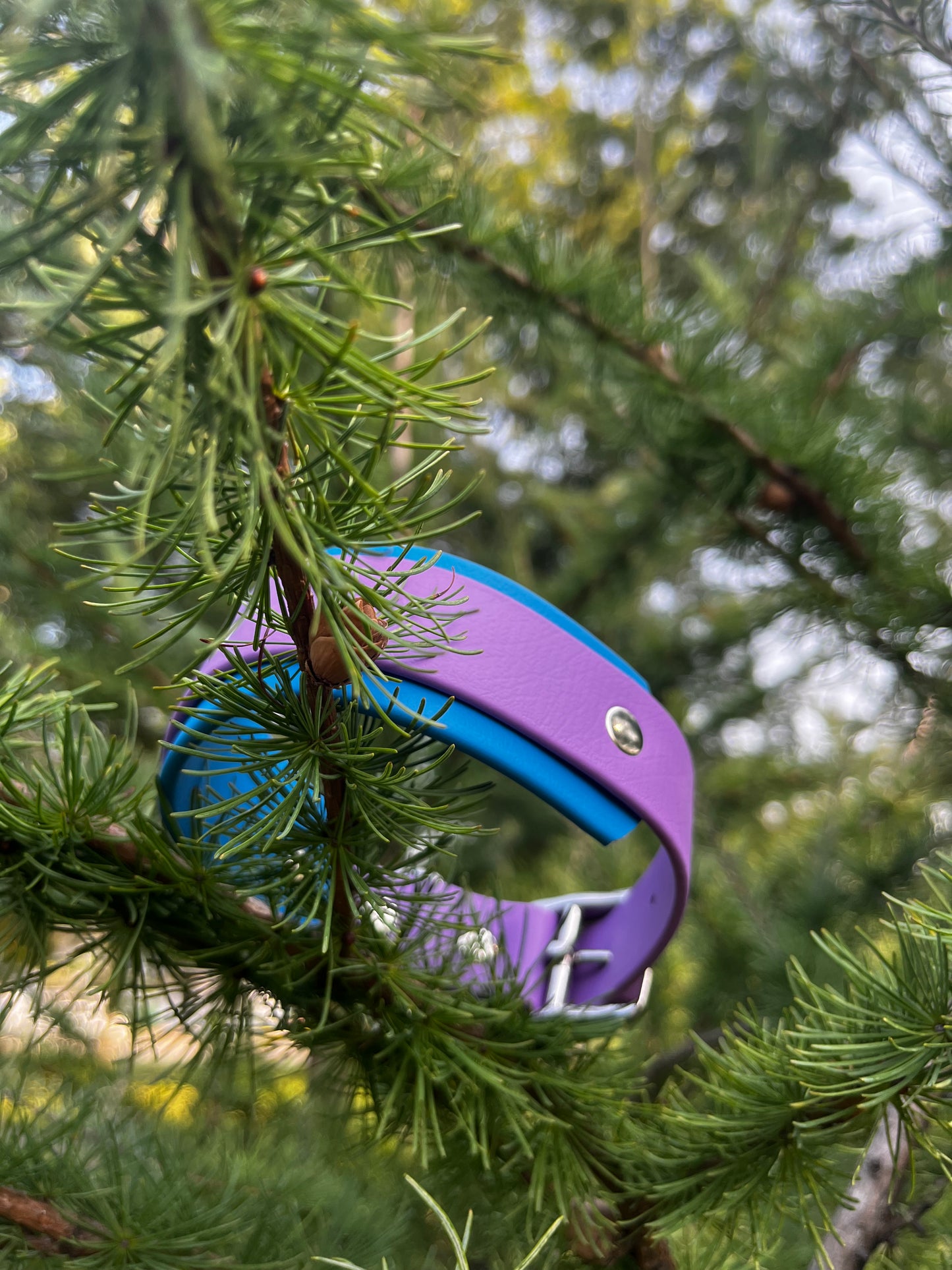 ARDA | 10 à 14" | mauve et bleu ciel - ✹Oromë✹ accessoires sur-mesure pour chiens
