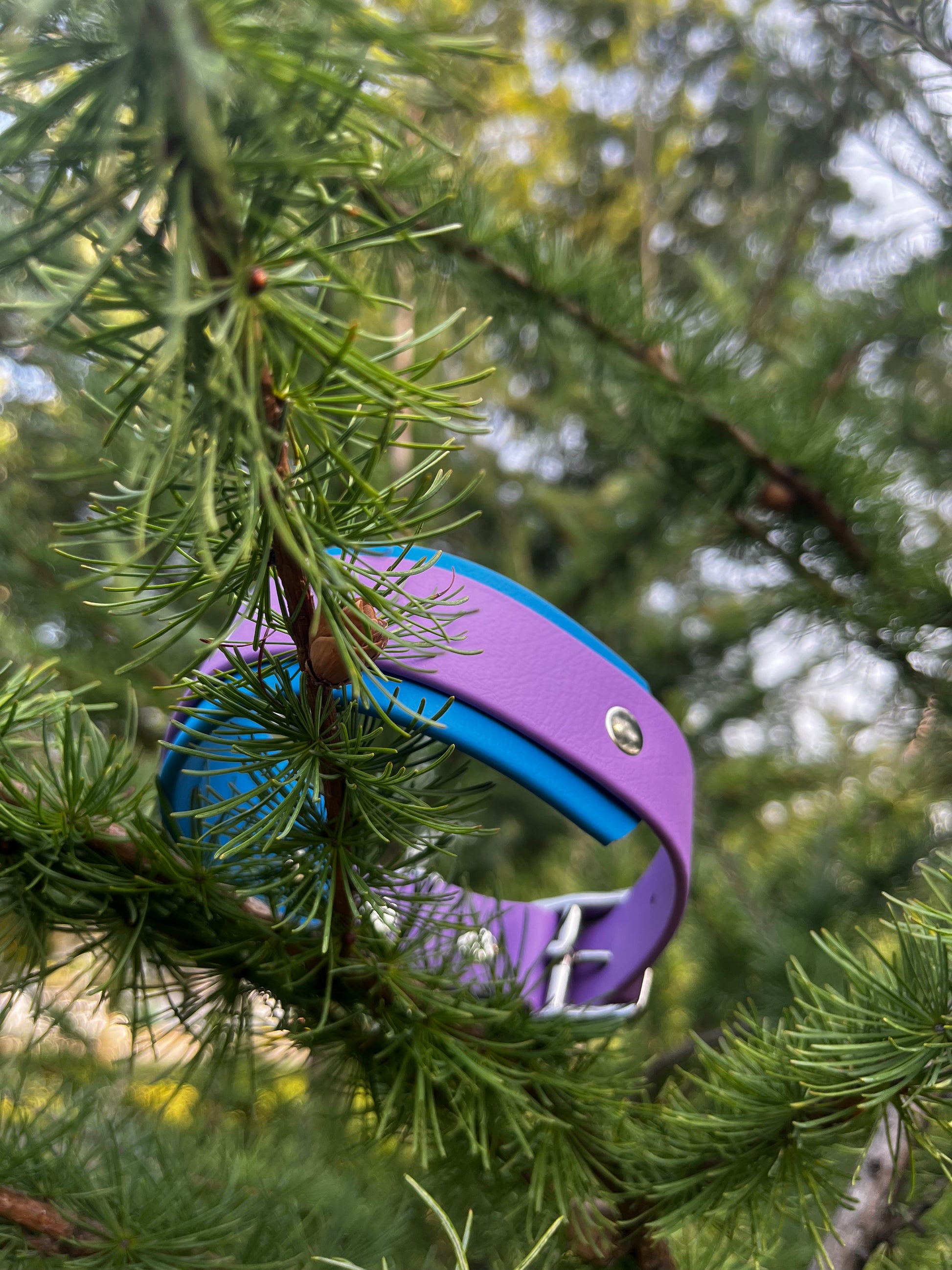 ARDA | 10 à 14" | mauve et bleu ciel - ✹Oromë✹ accessoires sur-mesure pour chiens