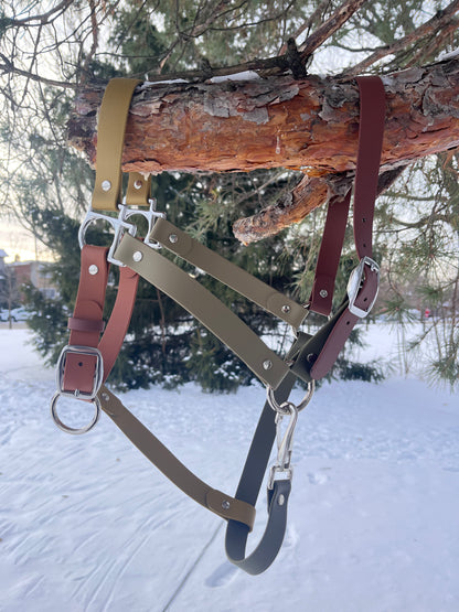 Licol d'équitation 🐎 - ✹Oromë✹ accessoires sur-mesure pour chiens