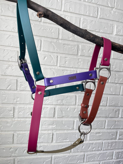 Licol d'équitation 🐎 - ✹Oromë✹ accessoires sur-mesure pour chiens