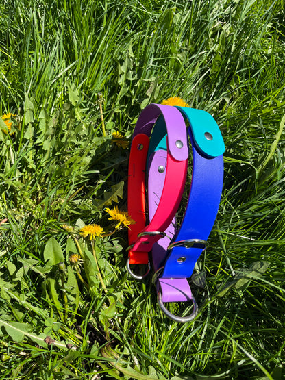 Collier ELDAR - ✹Oromë✹ accessoires sur-mesure pour chiens