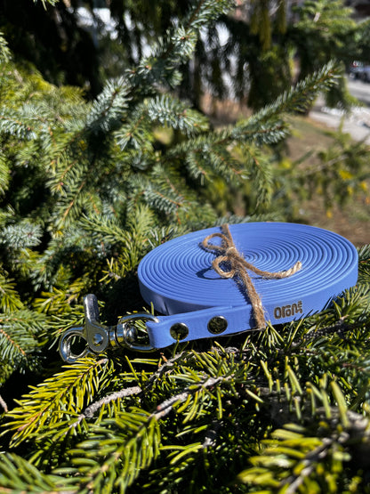 Longe 1/2 pouce | 17 pieds | parme - ✹Oromë✹ accessoires sur-mesure pour chiens