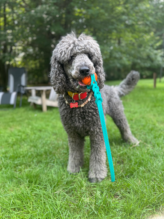 Ball tug