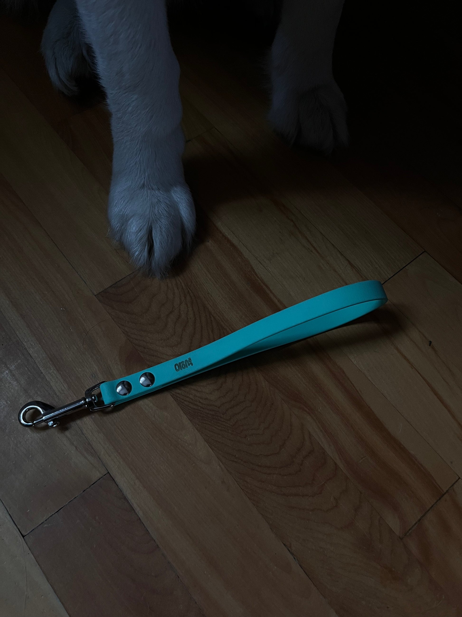 Poignée | écume - ✹Oromë✹ accessoires sur-mesure pour chiens