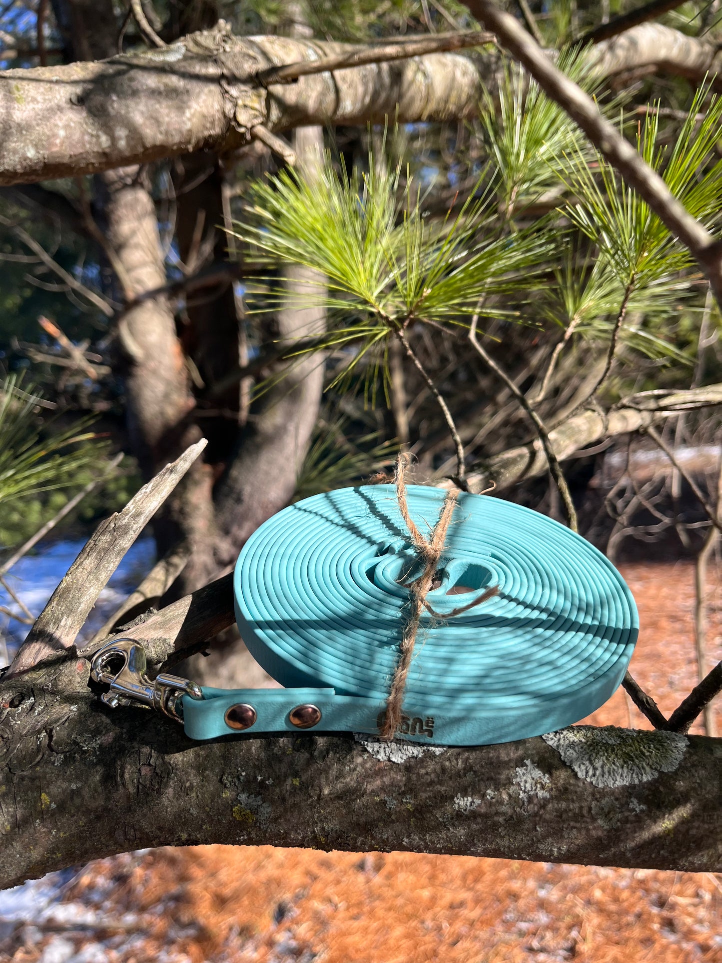 36-foot long line | black