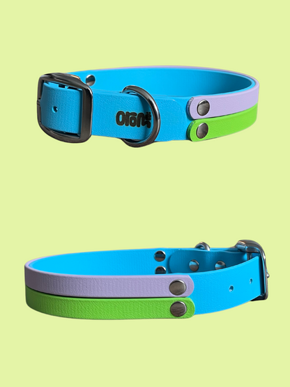 !NOUVEAU! Collier ALDARON - ✹Oromë✹ accessoires sur-mesure pour chiens